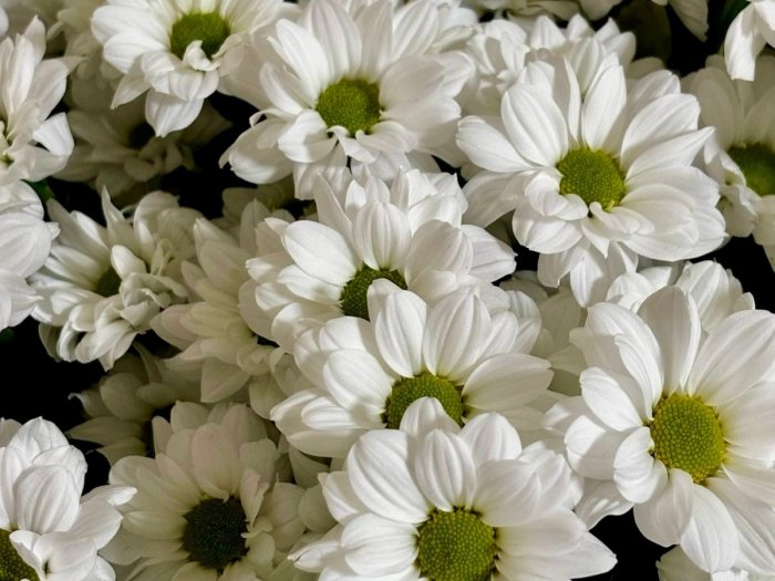 Подборка подарков ко Дню Матери