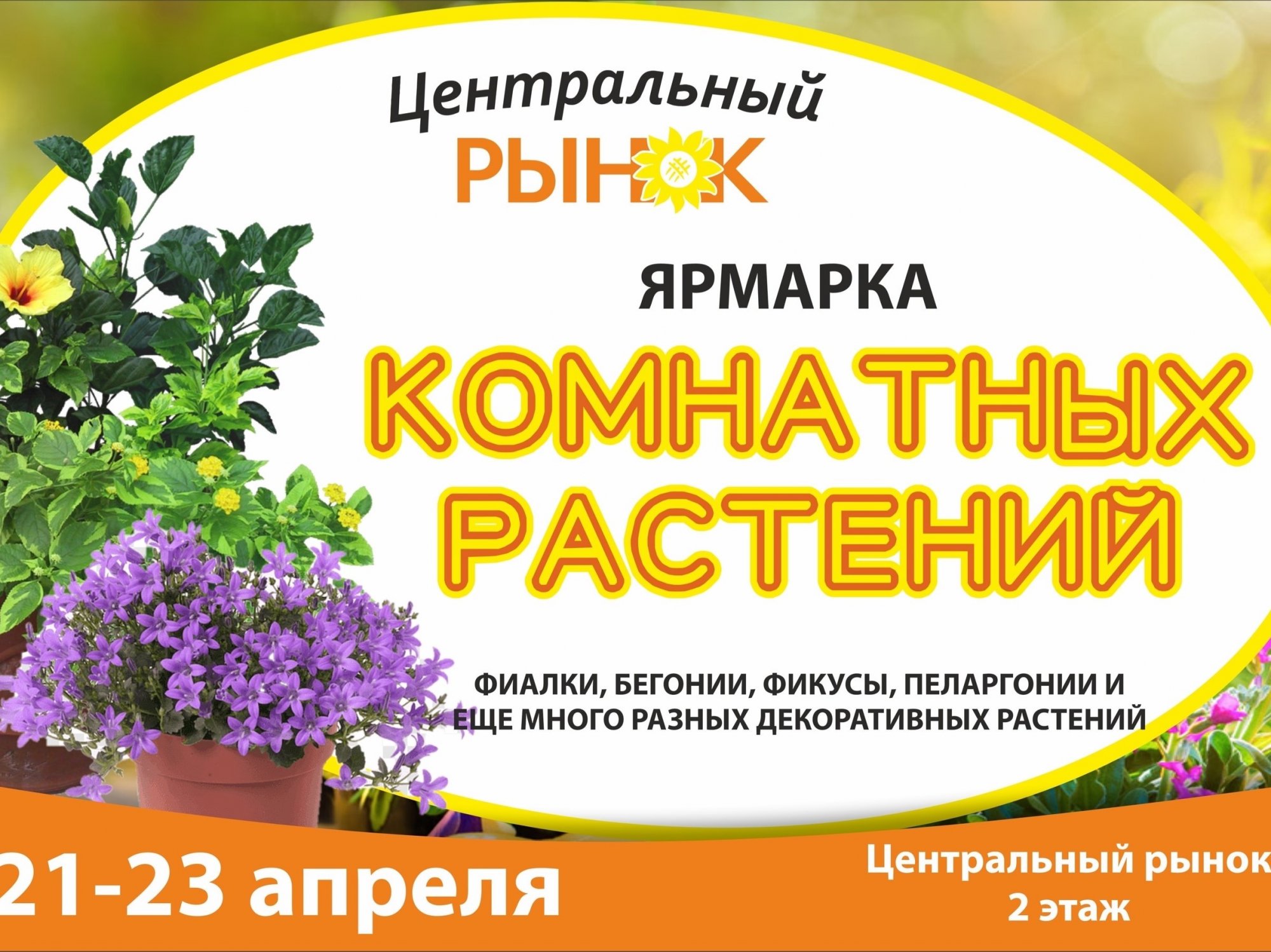 Лунный календарь для комнатных растений август 2025. Ярмарка комнатных растений. ярмарка комнатных растений фото. ярмарка комнатных растений на улице. центр цветка.