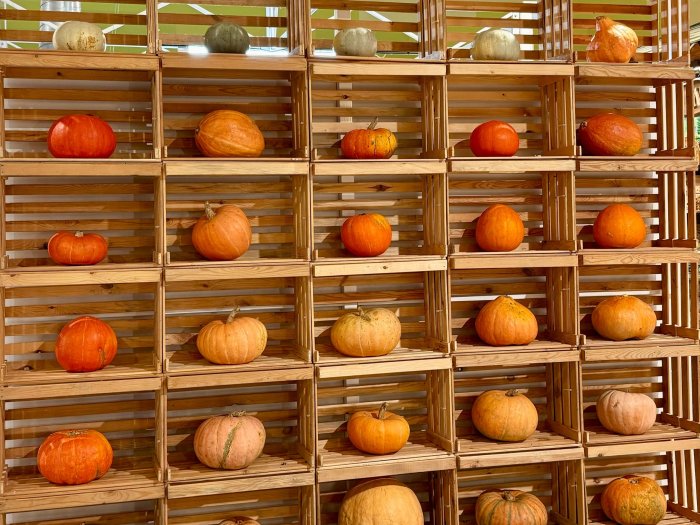 Тыквенный спас на Центральном рынке