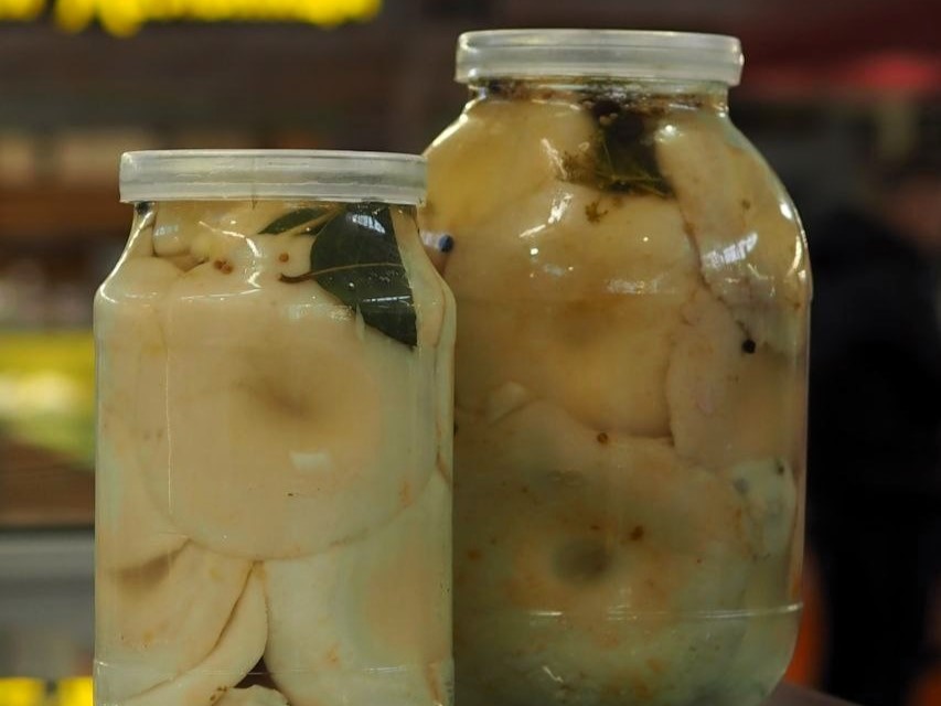 День солений День солений